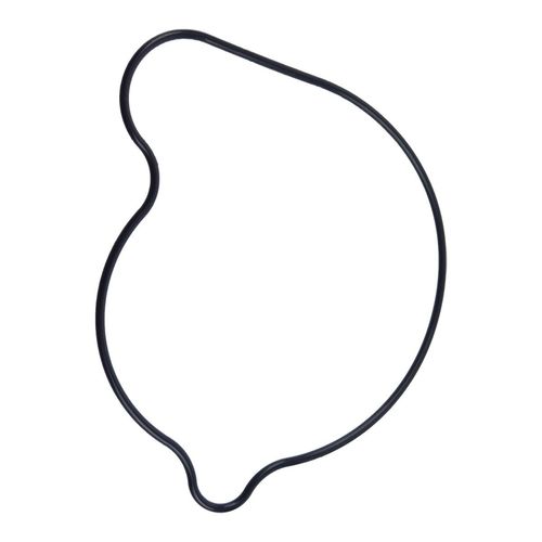 Anel O’Ring da Bomba D'Água YZF 1000R 97 Thunderace Original Yamaha