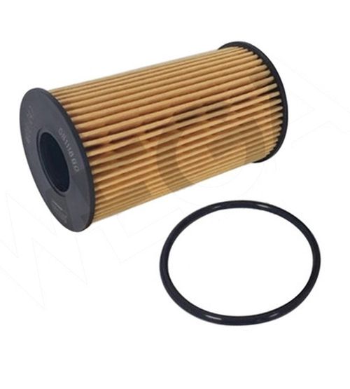 Filtro Oleo Motor Land Rover Evoque 2.0 Diesel 2016