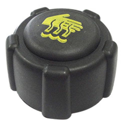 Tampa Reservatório Expansão Renault Fluence 2011 a 2016 - 196761 - 25753