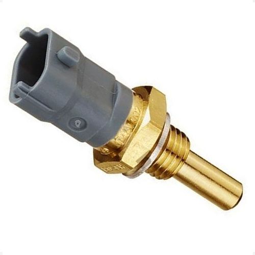 Cebolinha Temperatura S10 2015/2019 - 96025 - 44350