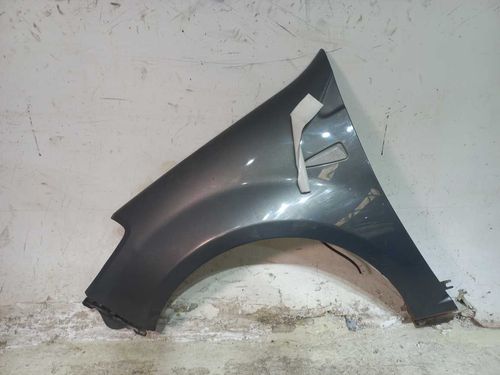 PARALAMA DIANTEIRO ESQUERDO RENAULT SANDERO 1.6 2009