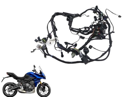 Chicote Principal Triumph Tiger Sport 660  22-24