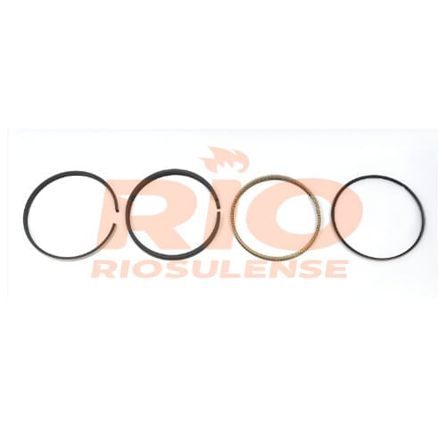 ANEL DE MOTOR - FORD ZETEC ROCAM 1.6 8V 1.00