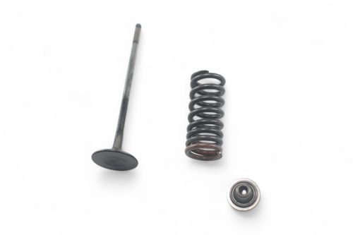 Kit Prato\Mola\Válvula Escape Triumph Tiger 800 13-15