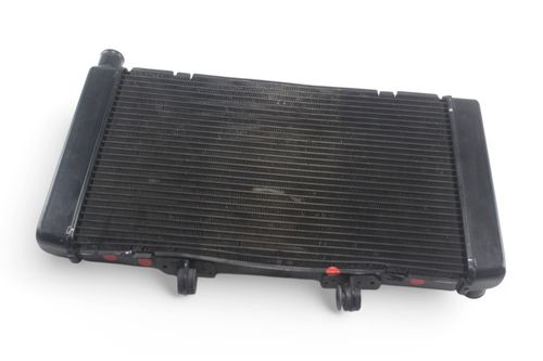 Radiador Avaria Honda Cb 600f Hornet 08-11