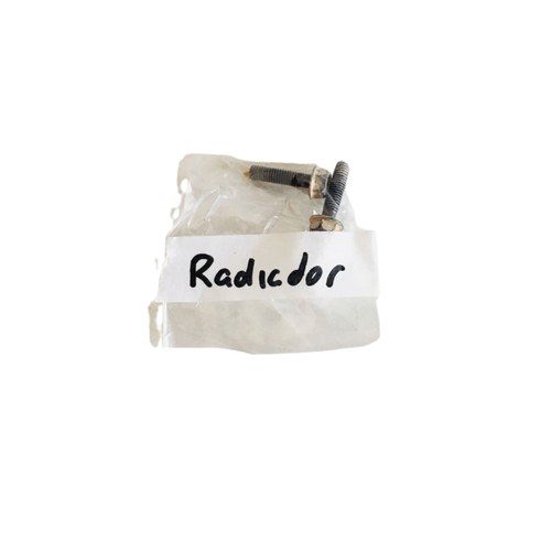 2 Parafusos Radiador Xtz 250 Tenere 2011 Original