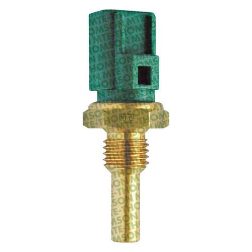 Cebolinha Temperatura PROTEGE 1999/1999 - 48587 - 4027