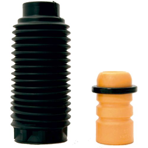 Kit Amortecedor Dianteiro Direito  Esquerdo C4 pointer Civic