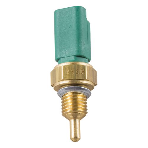 Cebolinha Temperatura 207 2012/2013  - 38788 - 4110