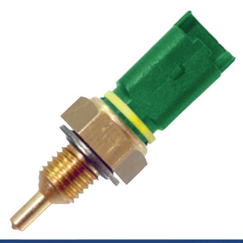 Cebolinha Temperatura LAGUNA 2001/2005  - 55506 - 44079